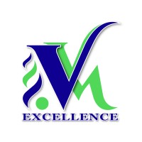 VVM Excellence N.V. logo - Similar company to Innovo Accountancy & Advisory