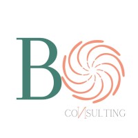 BO Consulting logo - Similar company to Intelling