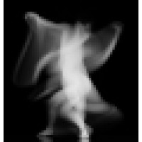 Liquidbody Media, Movement And Dance