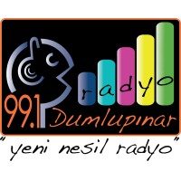 Radyo Dumlupınar logo - Similar company to The British International School Of London