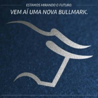 BullMark Financial Group logo - Similar company to Arkoz Asset