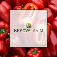KEKOVA TARIM logo - Similar company to Karaaslan Agricultre