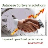 DATABASE SOFTWARE SOLUTIONS LIMITED logo - Similar company to Techdog Group