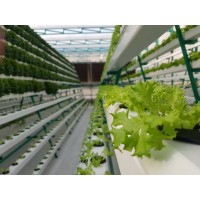 ADHEN TECH FARMS logo - Similar company to Hydroot