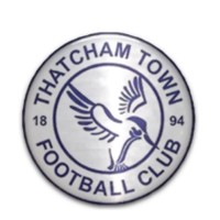 Thatcham Town Football Club logo - Similar company to John Madejski Academy
