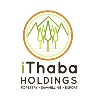 Ithaba Holdings Pty Ltd logo - Similar company to Rainbow Mining Support (Pty) Ltd