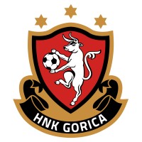 HNK Gorica logo - Similar company to Nk Celje