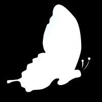 Zaahi Studios logo - Similar company to Niche Visuals