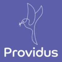 Providus Financial Ltd logo - Similar company to Boyala Cloud Services