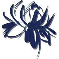 BLU logo - Similar company to Refresh Design Studio