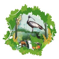 USAID Morodok Baitang logo - Similar company to Neurometrix.Ai