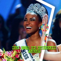 Ogun State SDG Ambassador Pageant logo - Similar company to Chartered Institute Of Personnel Management Of Nigeria (Cipm), Ogun State Branch