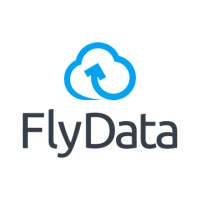 FlyData logo - Similar company to Pyramid Studio