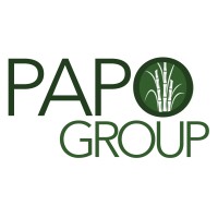 Papo Group logo - Similar company to Papo