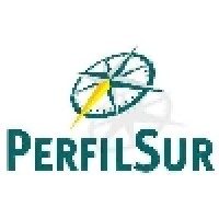 Perfilsur