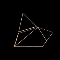 Nuance Aesthetics logo - Similar company to Coda Octopus Engineering