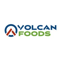 Volcan Foods logo - Similar company to Volcan Software