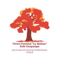 Vivero Forestal 