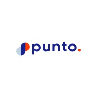 Punto Dijital logo - Similar company to Pineup Digital