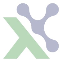 Exxcelerate logo - Similar company to 5Side Strategy