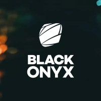 Black Onyx Interactive logo - Similar company to Blackrobot Games