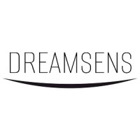 DREAMSENS logo - Similar company to Al.Studios
