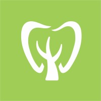 Depósito Dental BIGtree logo - Similar company to Dental Image