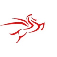 PARETO CAPITAL INTERNATIONAL logo - Similar company to Edwards Veeder