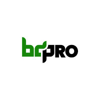 BD Pro logo - Similar company to Crystal Techify