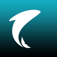 Welphi logo - Similar company to Decision Eyes