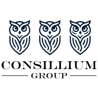 Consillium Group, Inc. logo - Similar company to 27 Peaks