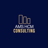 AMS HCM Consulting logo - Similar company to Joot
