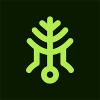 Midow Studios logo - Similar company to Draw & Code