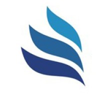 Valkyrie Simulators logo - Similar company to Pelvic Tech