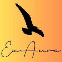 ExAura Consulting Ltd logo - Similar company to Makerville Tech