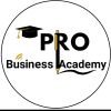 Pro Business Academy logo - Similar company to Cabinet Techno
