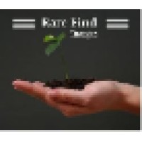 Rare Find Strategies logo - Similar company to Rarefind Recruiting