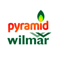 Pyramid Wilmar (Pvt) Ltd logo - Similar company to Asian Institute Of Business And Technology- Aibt