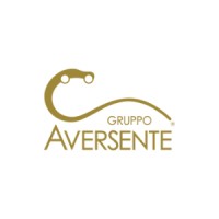 Gruppo Aversente logo - Similar company to Delcom