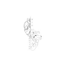 BioMotion logo - Similar company to Simhub