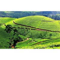 Mountain Fresh logo - Similar company to Fresh Spice