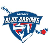 Blue Arrows Sasbach e.V. logo - Similar company to Cinet
