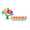 COEDIEX CONSULTING SERVICE logo - Similar company to Vulcan Visions