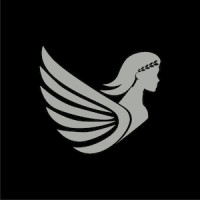 Profectus Capital logo - Similar company to Profectus Capital