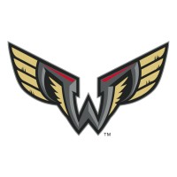 Philadelphia Wings logo - Similar company to Think Tech Solutions