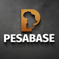 Pesabase logo - Similar company to Kodaschool