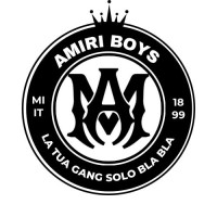 Amiri Boys logo - Similar company to Sarl Proform