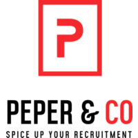 PEPER & CO BV logo - Similar company to OIS Softwaremakers