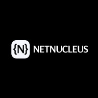 Netnucleus logo - Similar company to Heybie