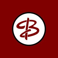 BlipMash logo - Similar company to Skill2Success